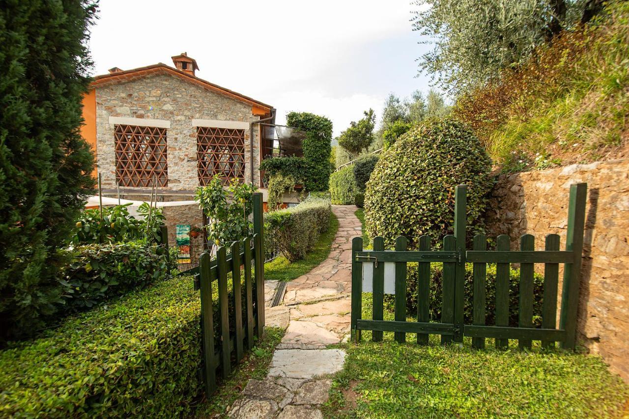 Casetta Di Butia, Gelsomino Apartment 博尔戈阿莫扎诺 外观 照片